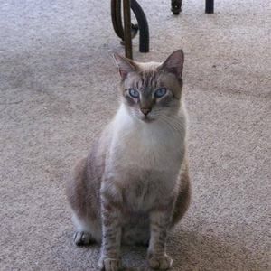 Meet your Posher, Billy